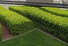 Beulah TAScommercial-landscaping-1.jpg; ?>